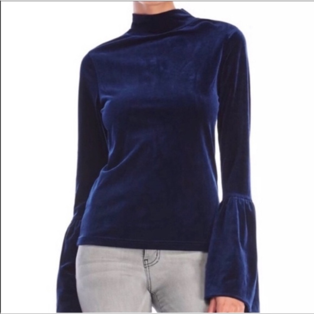 Torn by Ronny Kobo Velvet Long Bell Sleeve Top EUC